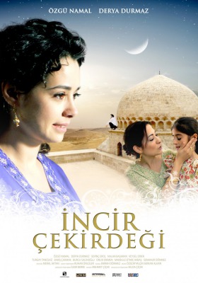İncir Çekirdeği Afiş