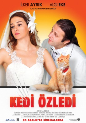 Kedi Özledi Afiş